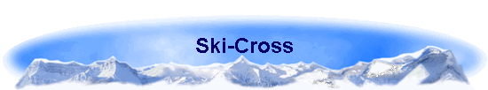Ski-Cross